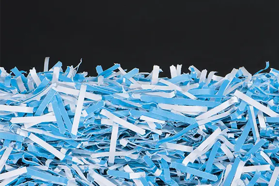 Paper cuttings