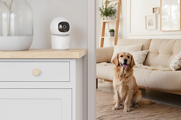 In the left part of the picture, the Hama surveillance camera stands on a sideboard, in the right part a dog sits in front of a beige sofa on a brown carpet.